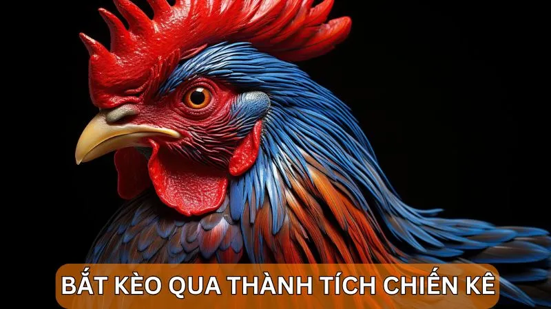 Cách bắt kèo đá gà thông qua thành tích chiến kê