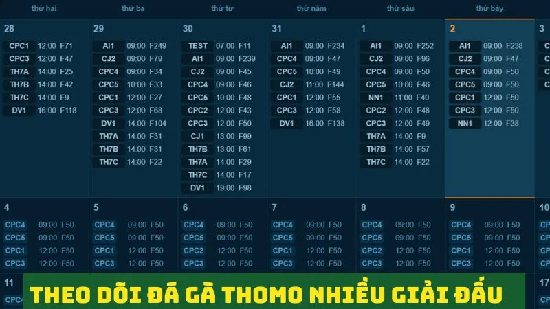 Theo dõi đá gà Thomo trực tuyến nhiều giải đấu 