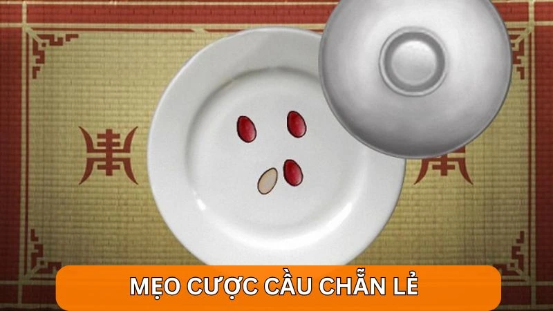 Mẹo cược cầu chẵn lẻ khi chơi xóc đĩa