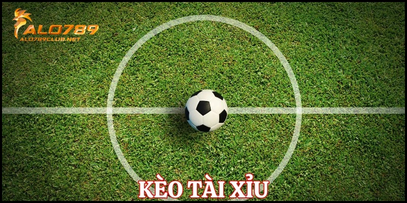 Hướng dẫn cách đọc kèo bóng đá tài xỉu dễ hiểu cho người mới 1 keo tai xiu